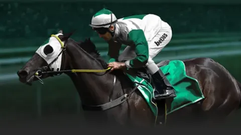 2025年中国国家男排集训阵容正式公布